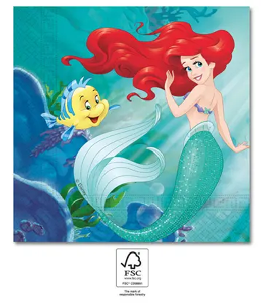 Guardanapos Ariel Grandes