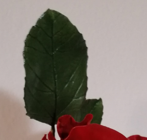 Molde Folha Rosa Grande - My Sweet Garden
