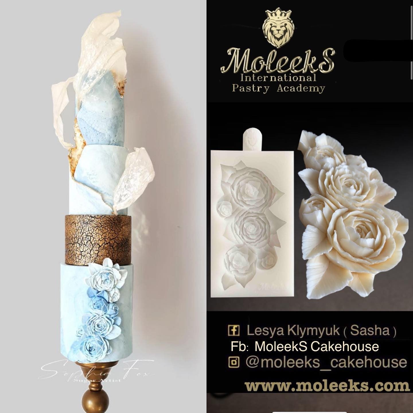 Moleeks 3D Molde Rosses