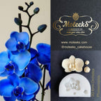Moleeks 3D Set Moldes Flores - Best seller