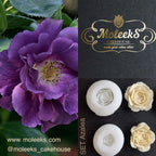 Moleeks 3D Set Moldes Flores - Best seller
