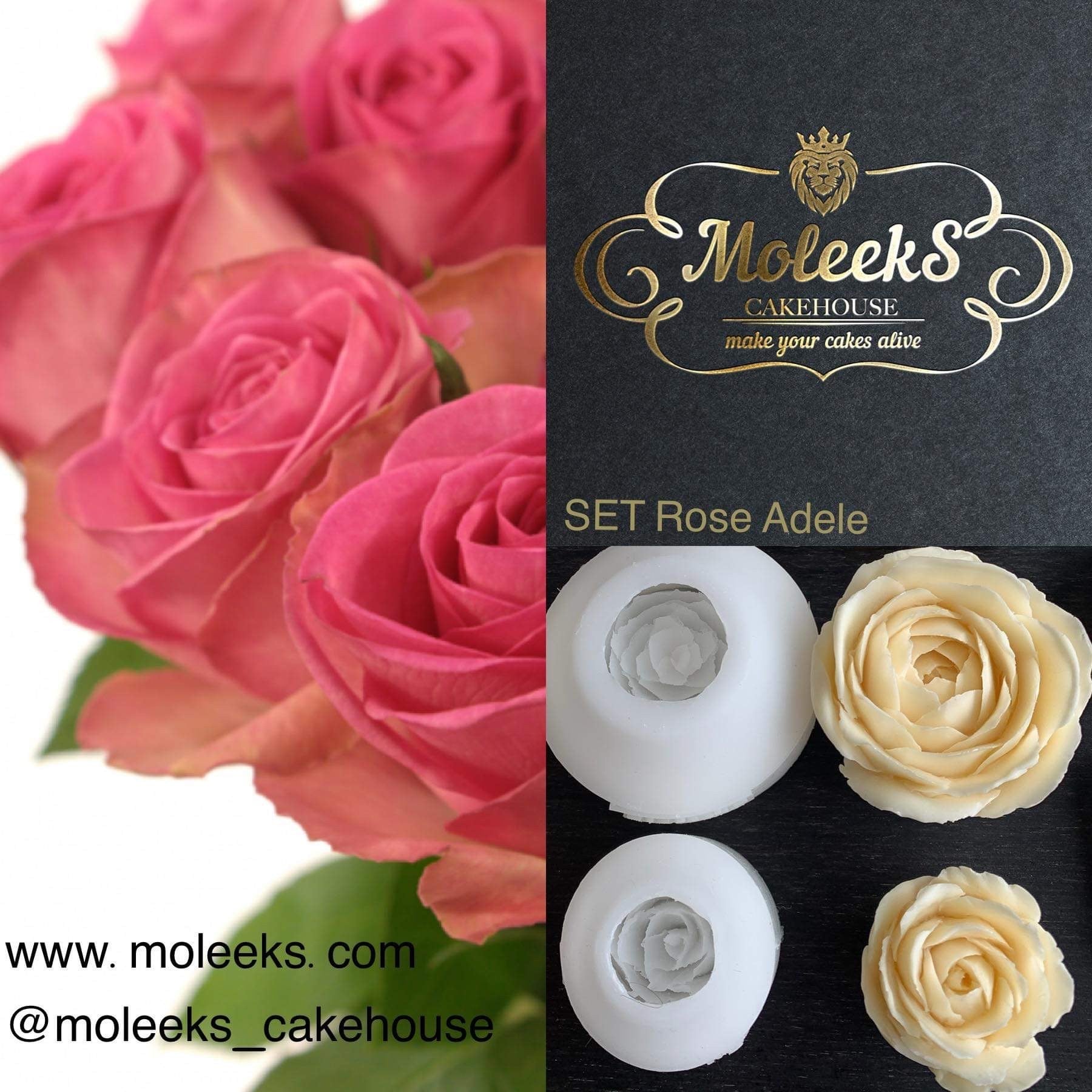 Moleeks 3D Set Moldes Flores - Exclusive
