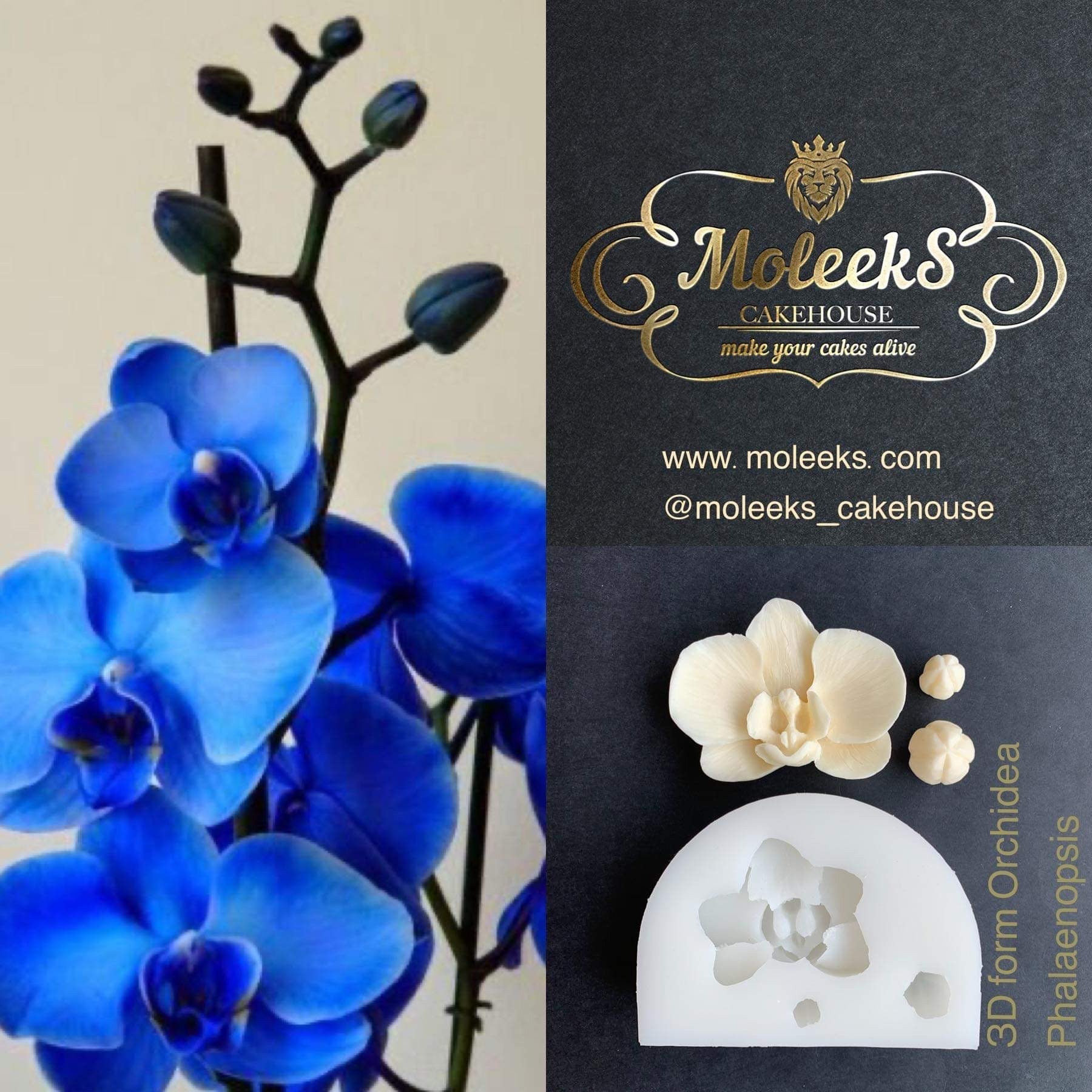 Moleeks 3D Set Moldes Flores - Exclusive