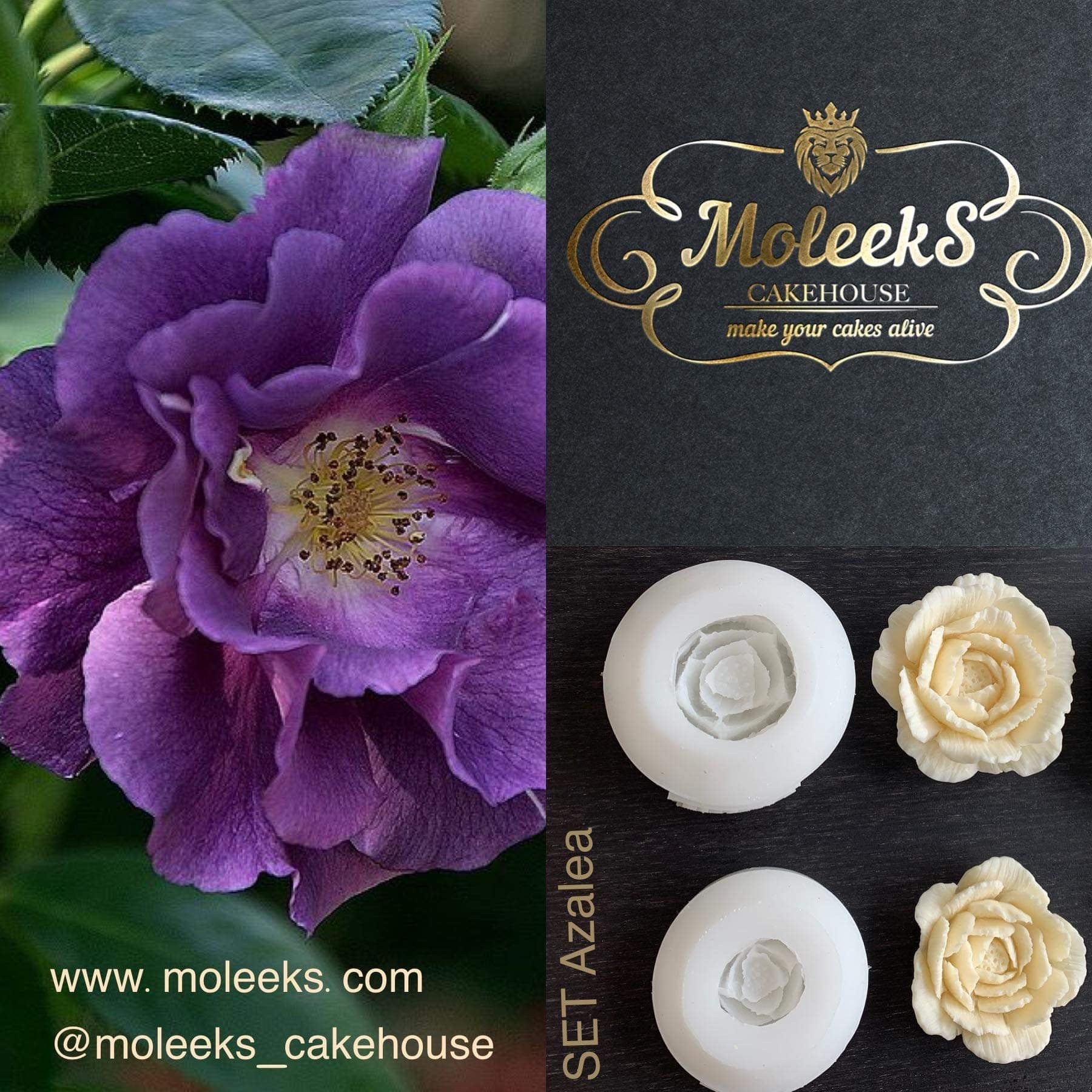Moleeks 3D Set Moldes Flores - Exclusive