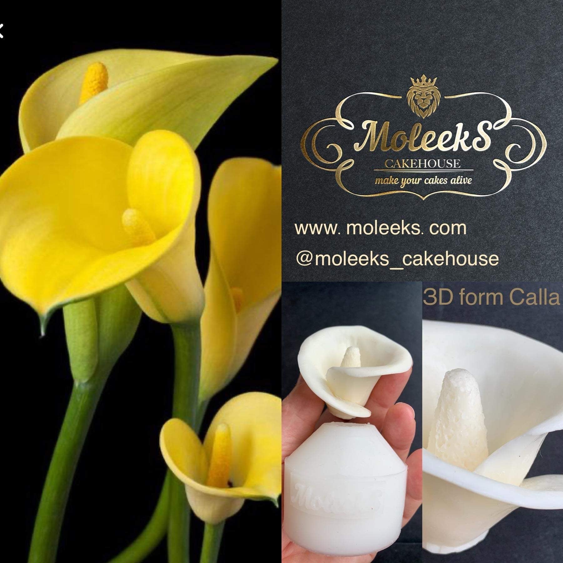 Moleeks 3D Set Moldes Flores - Exclusive