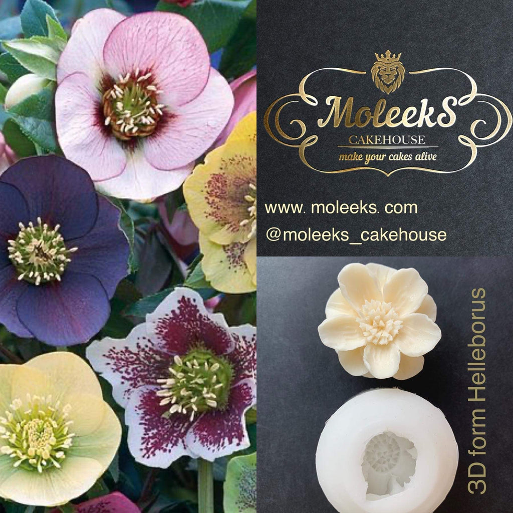 Moleeks 3D Set Moldes Flores - Exclusive