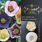 Moleeks 3D Set Moldes Flores - Exclusive