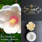 Moleeks 3D Set Moldes Flores - Exclusive
