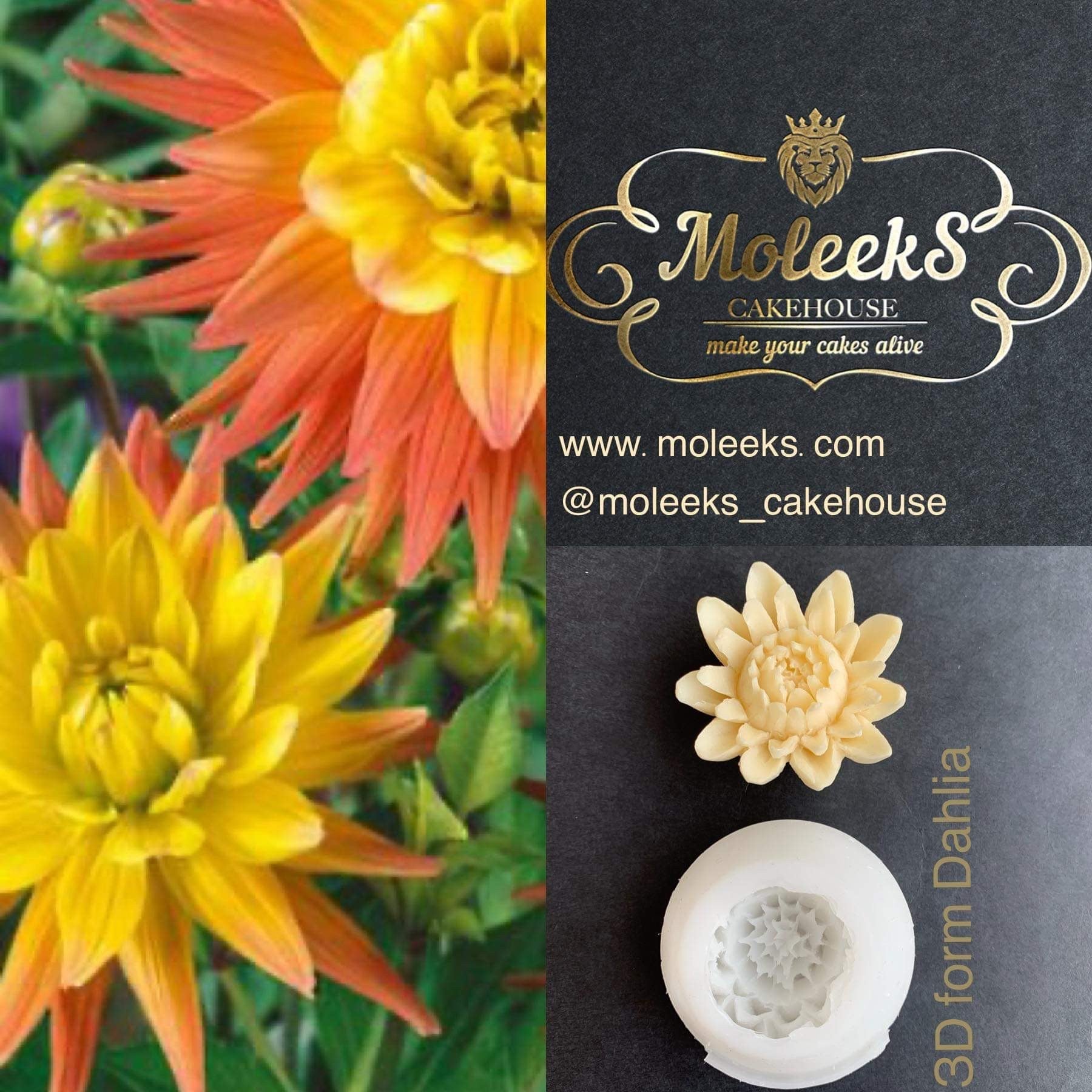 Moleeks 3D Set Moldes Flores - Exclusive