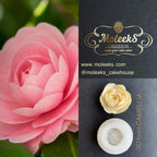 Moleeks 3D Set Moldes Flores - Exclusive