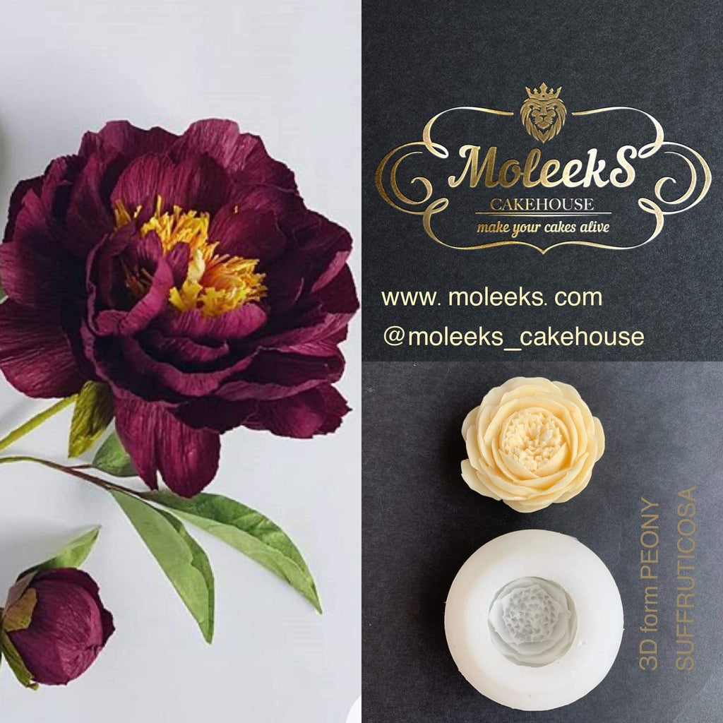 Moleeks 3D Set Moldes Flores - Exclusive