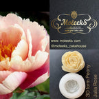 Moleeks 3D Set Moldes Flores - Exclusive