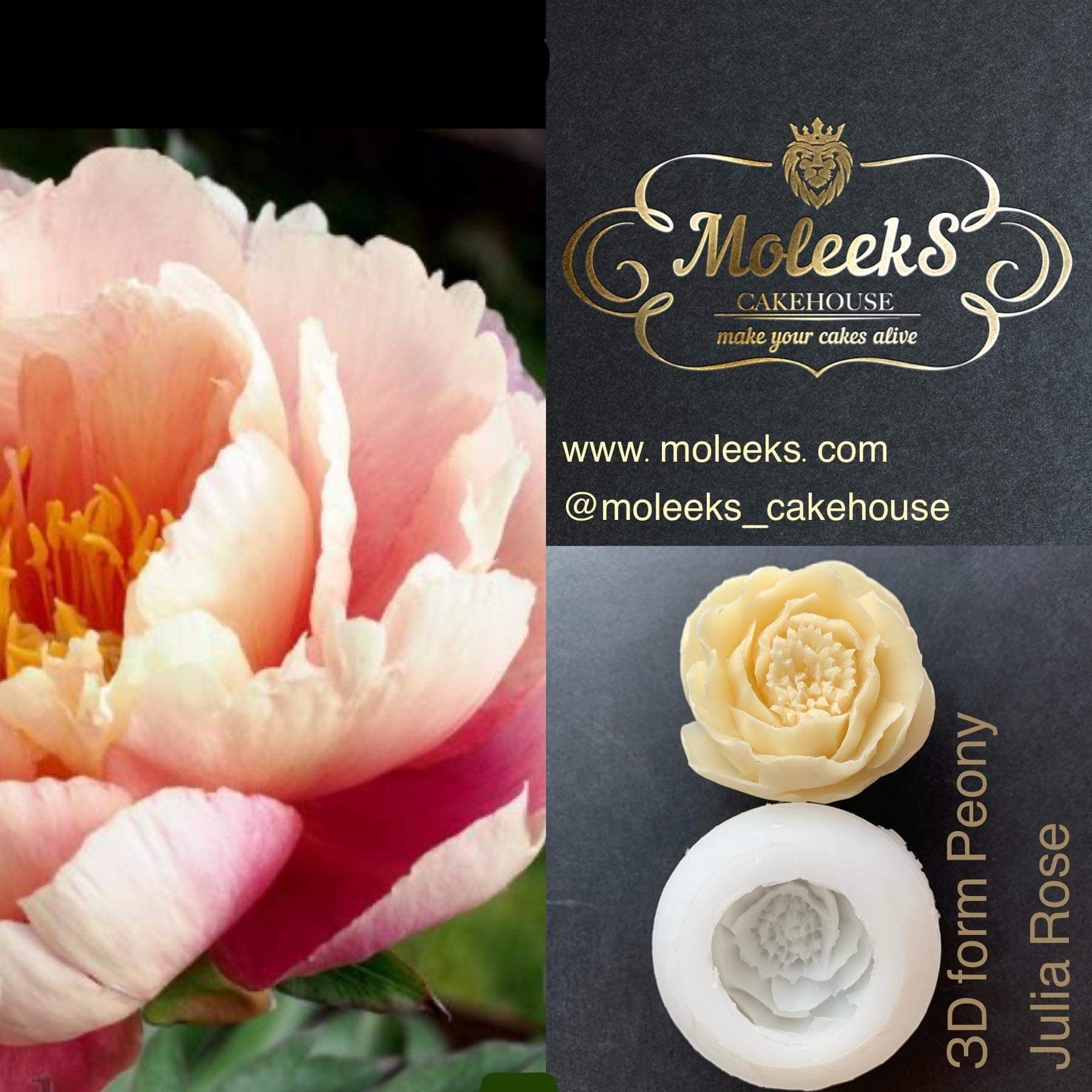Moleeks 3D Set Moldes Flores - Exclusive