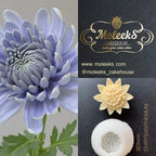 Moleeks 3D Set Moldes Flores - Exclusive