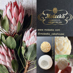 Moleeks 3D Set Moldes Flores - Exclusive
