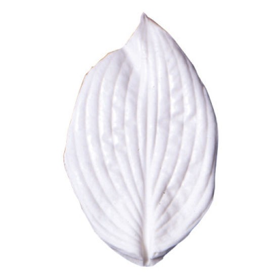 Molde de Silicone Leaf Veiner Hosta