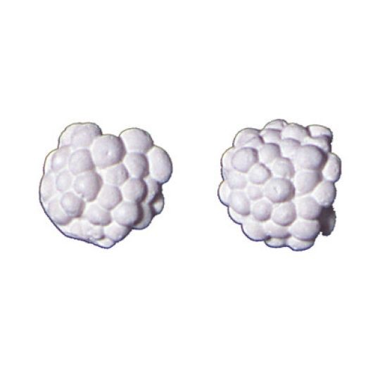 Molde de Silicone Blackberry Fruit