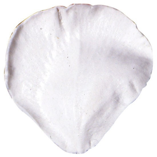 Molde de Silicone Rose Tea - Very Large Petal
