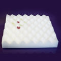 Esponja para Modelagem de Flores 280x280mm