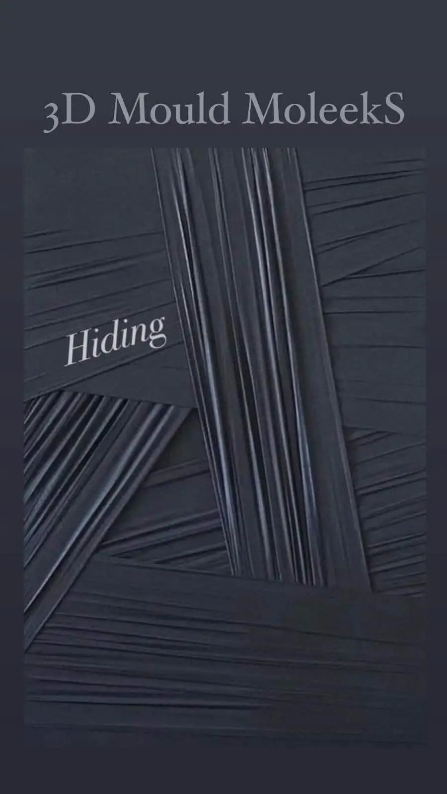 Moleeks Hidding Molde 3D