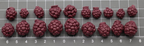 Molde MondMohn Amoras