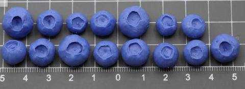 Molde MondMohn Mirtilos