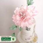 Katy Sue-Flower Pro Peônia e Tulipa