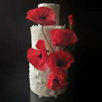 Katy Sue-Flower Pro Papoula