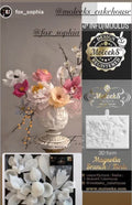 Set Veiners Flores Moleeks