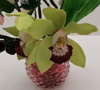 Molde Orquídea Cymbidium - My Sweet Garden