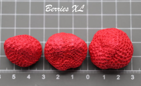 Molde MondMohn Morangos XL